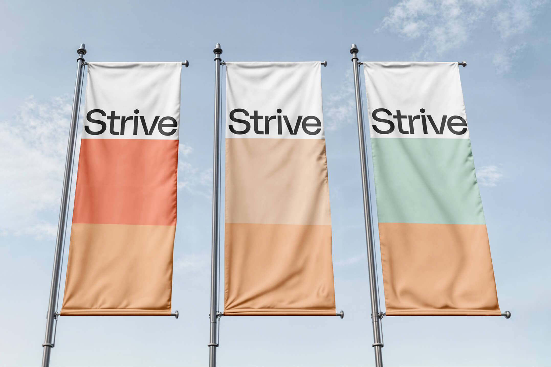 Strive brand strategy, identity design and packaging development